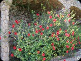 Hiszpania - Costa Brava