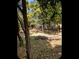 Kambodża