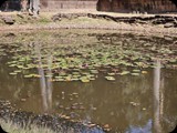 Kambodża