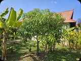 Kambodża