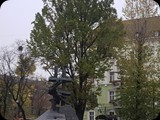 Lwów 