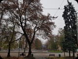 Lwów