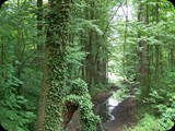 Zamek Moszna
