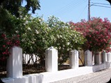 GRECJA - Wyspa RODOS