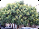 GRECJA - Wyspa RODOS)