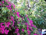 GRECJA - Wyspa RODOS