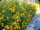 GRECJA - Wyspa RODOS 