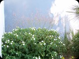 GRECJA - Wyspa RODOS - 2015 332 (Kopiowanie)