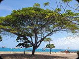 Zanzibar