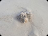 Zanzibar