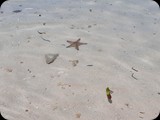 Zanzibar