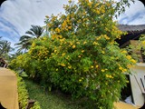 Zanzibar