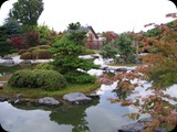 Pudełko - Krzewy ozdobne Ogrody japońskie, Pisarzowice