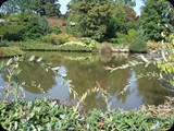 Arboretum Wojsławice