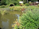 Arboretum Wojsławice