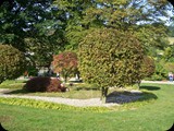 Arboretum Wojsławice