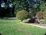 Arboretum Wojsławice