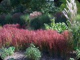 Arboretum Wojsławice