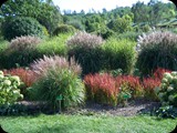 Arboretum Wojsławice